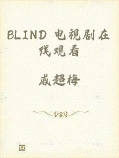 BLIND 电视剧在线观看